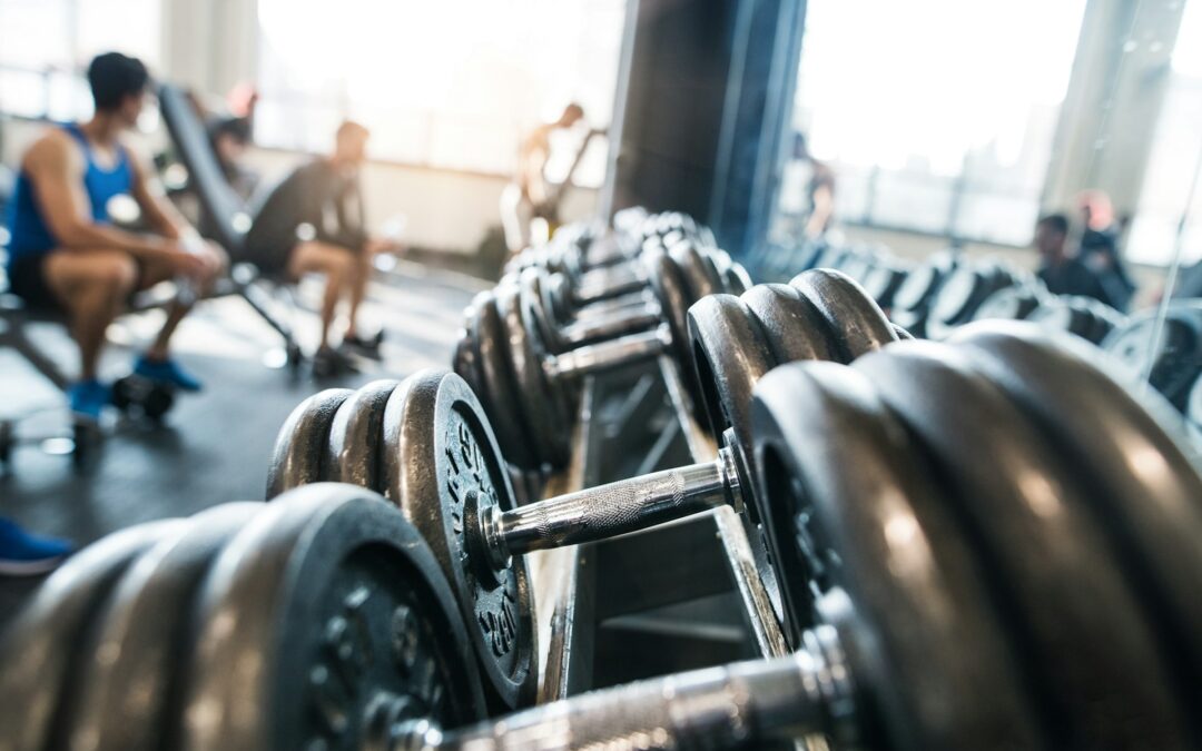 Physio Muscle Strain view 2